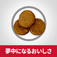 サイエンスダイエット (SCIENCE DIET) ドッグフード シニア  高齢犬用 6歳以上 大型犬種 チキン 12kg