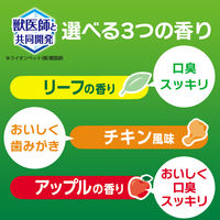 ペットキッス（PETKISS）犬猫用 歯みがき ジェル リーフの香り 国産 40g 1本 ライオン