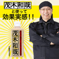 茂木和哉 の「超人たわしZ」 2枚入り レック (C00195)