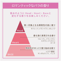 レイヴィー　ボディシャンプー　ローズヒップ　1150mL　アクシス