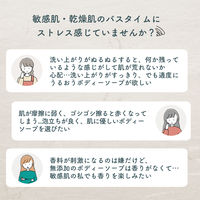パックスナチュロン　ボディーソープ詰替Ｎ　５００ml 1セット(6個)　敏感肌用　無添加　天然由来100%　せっけん　肌荒れ予防 【泡タイプ】