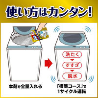 カビキラー 洗濯槽クリーナー 洗濯槽カビキラー 酸素系粉末タイプ 250g 1個 洗濯機 除菌 ジョンソン