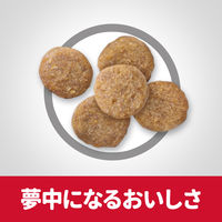 サイエンスダイエット シニアプラス 下部尿路の健康維持 高齢猫 11歳以上 チキン 2.8kg 2袋 日本ヒルズ キャットフード ドライ