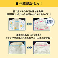 WORKERS（ワーカーズ） 作業着液体洗剤 詰め替え 2000g 1個 洗濯洗剤 NSファーファ・ジャパン