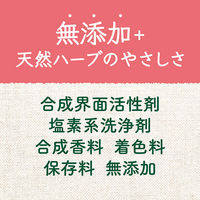 arau.（アラウ） 洗たく槽クリーナー 300g サラヤ