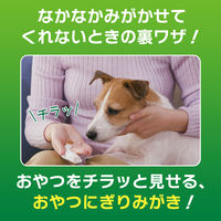 歯みがきシート ペットキッス（PETKISS）犬猫用 アップルの香り 国産 30枚入り 1袋 ライオンペット