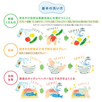 野菜あらいのお水 ベジセーフ スプレー洗い用 ボトル 400ml 1個 landlink