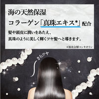 アミノマスター プロフェッショナル シャンプー 500ml デザインボトル ときわ商会