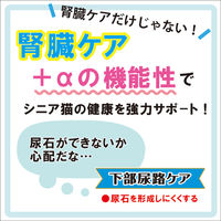 健康缶 シニア猫用 下部尿路ケア 40g 96袋 キャットフード ウェット パウチ