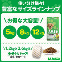 【アウトレット】アイムス 健康維持用 チキン 小粒 成犬用 2.6kg ドッグフード ドライ