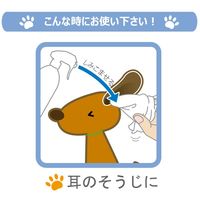 プリジア（Pulizia）快適空間除菌水 スプレータイプ 400ml　FLF