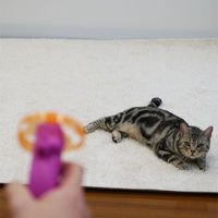 キャティーマン じゃれ猫 にゃんコプター 3個 ドギーマンハヤシ 猫用 おもちゃ