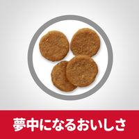 サイエンスダイエット アダルト 成犬用 1歳～6歳 チキン 6.5kg ヒルズ ドッグフード ドライ