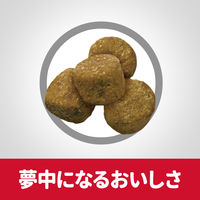 サイエンスダイエット (SCIENCE DIET) ドッグフード ライト  成犬用 1歳～6歳 肥満傾向の成犬用 チキン 6.5kg