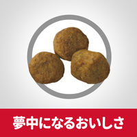 サイエンスダイエット（SCIENCE DIET）ドッグフード シニア 高齢犬用 6.5kg 日本ヒルズ