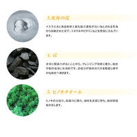 利尻こんぶ海洋深層水 シャンプー ポンプ 700ml 炭 泥 スカルプケア ティ・エス・プランニング