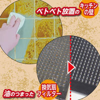 茂木和哉 油汚れ用洗剤 なまはげ 320ml 1個 きれい研究所