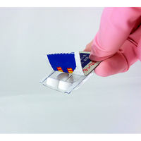 かんたん洗浄丸 小粒タイプ 8パック キッチン・洗面台・トイレ・お風呂の排水口のパイプ洗浄 1セット（2個） 小林製薬