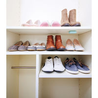 パワーバイオ げた箱のカビきれい 1セット（2個） コジット