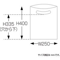 ササガワ カラーポリ 半透明 250×400 A4用 50-1870 1包(50枚袋入)