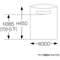 ササガワ カラーポリ シルバー 300×450 B4用 50-1879 1包(50枚袋入)