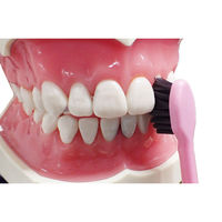 デンタルプロ デンタルプロブラック 超コンパクト ふつう 4973227209326 1本