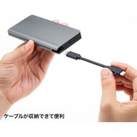 サンワサプライ USB Type-C ドッキングハブ USB-3TCH14S2 1個（直送品）