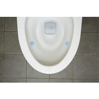 ブルーレットデコラル除菌効果プラス トイレ便器の内側 香りと汚れ着付防止の花びらジェル フレッシュフローラル 約21日分 小林製薬