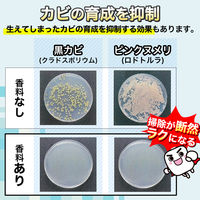 激落ちくん 貼るだけ簡単！排水口の防カビ 消臭芳香剤 シトラスの香り 1セット（2個） レック