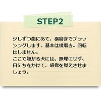 シグワン 犬用 コンパクト 歯ブラシ スモール 3kg以下 ビバテック