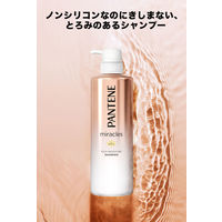 パンテーン ミラクルズ リッチモイスチャー シャンプー 詰め替え 特大サイズ 880ml P＆G