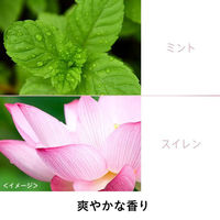 パンテーン ミラクルズ クリスタルスムース シャンプー 詰め替え 特大サイズ 880ml 2個 P＆G