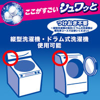 洗浄力 シュワッと洗たく槽クリーナー 除菌 消臭 個装タイプ 3回分 エステー