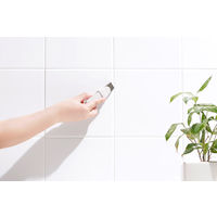 掃除の達人 すみずみ消しゴム ケース付き 水垢 水アカ 黒ズミ サビ そうじ 1個 マーナ