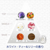 ファブリーズ 消臭芳香剤 玄関用 ホワイト・ティー&リリー 詰替入り本体ケース 1セット（1個×4） P＆G