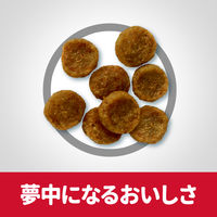 サイエンスダイエット アダルト 成犬用 1歳～6歳 小型犬 チキン 5kg 2袋 日本ヒルズ ドッグフード ドライ