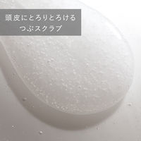 ｉｎｅｓ イネス　ジェントルスクラブクレンズ スカルプマッサージシャンプー 400g 花王