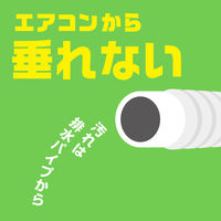 エアコン 掃除 除菌 らくハピ エアコン洗浄 Nextplus フレッシュフォレストの香り 420mL 消臭 防カビ 1セット（2パック） アース製薬