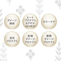 サロンスタイル　BIOLISS　ビオリス　ボタニカルエステティーク　スムースコンディショナー(さらさらなめらか)　ポンプ