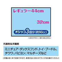 デオシート プレミアム 12時間超消臭＆超吸収 レギュラー 54枚入 ユニ・チャーム
