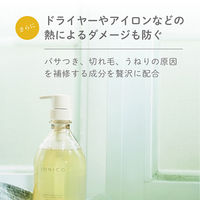 イオニコ ダメージケアシャンプー 詰め替え 380ml 2個　ビジナル