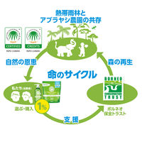 ハッピーエレファント 洗たくパウダー 1.2kg 1個 衣料洗剤 サラヤ