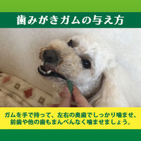 ペットキッス 食後の歯みがきガム 超やわらかタイプ 超小～小型犬用 国産 90g ドッグフード おやつ デンタルケア