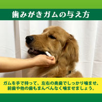 ペットキッス 食後の歯みがきガム 中大型犬用 国産 12本 ドッグフード おやつ デンタルケア