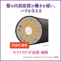Segreta（セグレタ） シャンプー リラクシングハーブの香り 詰め替え 340ml 2個 花王