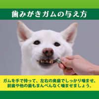 ペットキッス 食後の歯みがきガム シニア 小型犬用 国産 14本入 ドッグフード おやつ デンタルケア