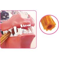 ペットキッス ネコちゃんの歯みがきおやつ まぐろ味 国産 7本入 2袋 キャットフード オーラルケア