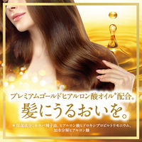 ラックス(LUX) スーパーリッチシャイン ボタニカルシャイン 光沢シャンプー 詰め替え 660g 2個