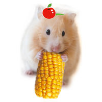 小動物のかじっておいしい ミニコーン 小動物 200g 6袋 ドギーマン