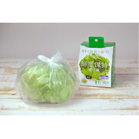 鮮度保持ポリ袋 半透明 430×240×60mm 厚さ0.009mm L 1箱（40枚入） 高密度ポリエチレン ストリックスデザイン